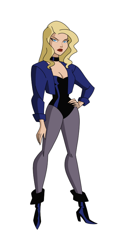 Black Canary DC Animated Series