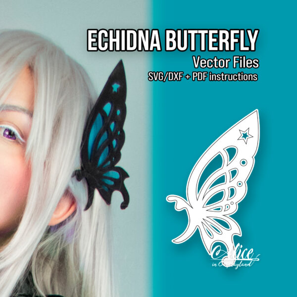Echidna Butterfly Vector